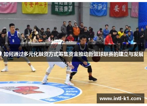 如何通过多元化融资方式筹集资金推动新篮球联赛的建立与发展 如何通过多元化融资方式筹集资金推动新篮球联赛的建立与发展