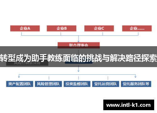 转型成为助手教练面临的挑战与解决路径探索