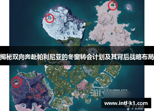 揭秘双向奔赴帕利尼亚的冬窗转会计划及其背后战略布局