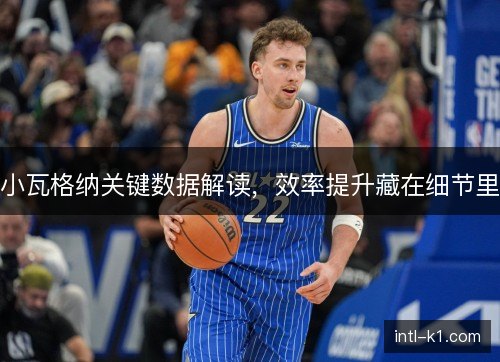 小瓦格纳关键数据解读，效率提升藏在细节里